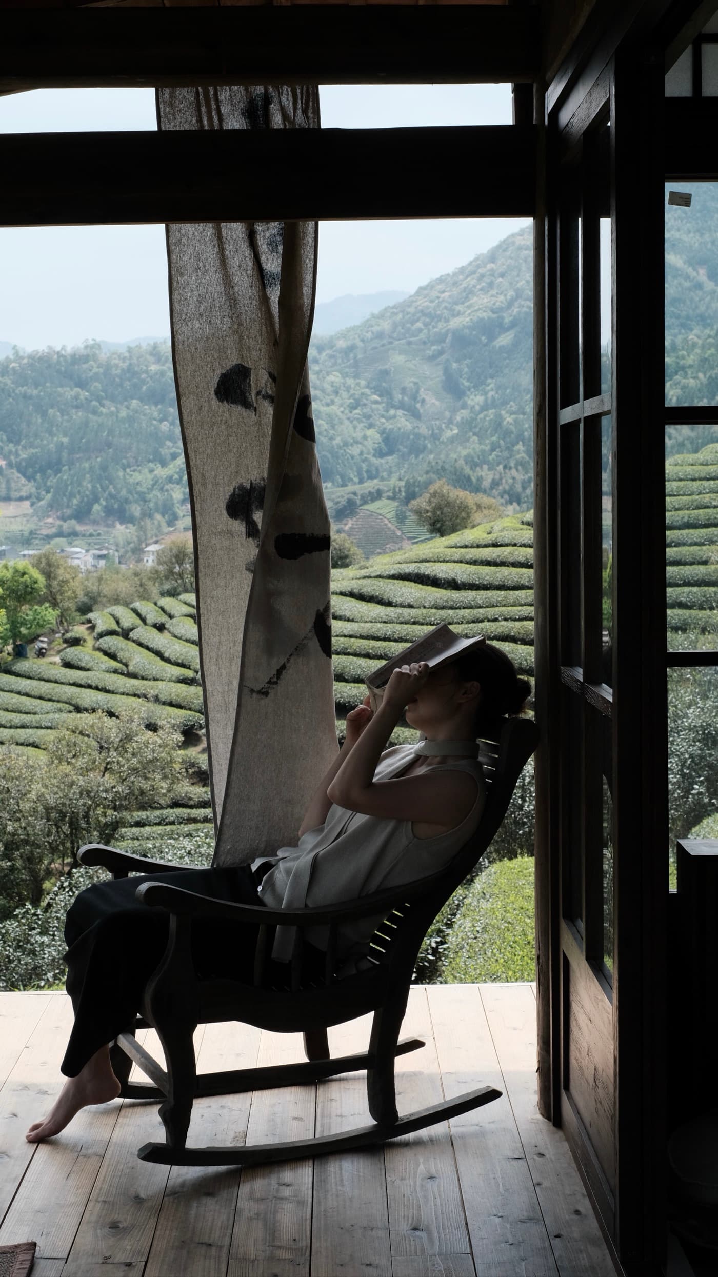 Wentian 坐在摇椅上眺望武夷山的茶园